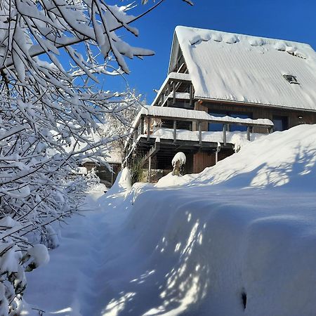 Haus Mit Bergblick Villa Siegsdorf Dış mekan fotoğraf